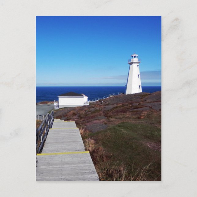 Cape Spear Lighthouse Postcard (Front)