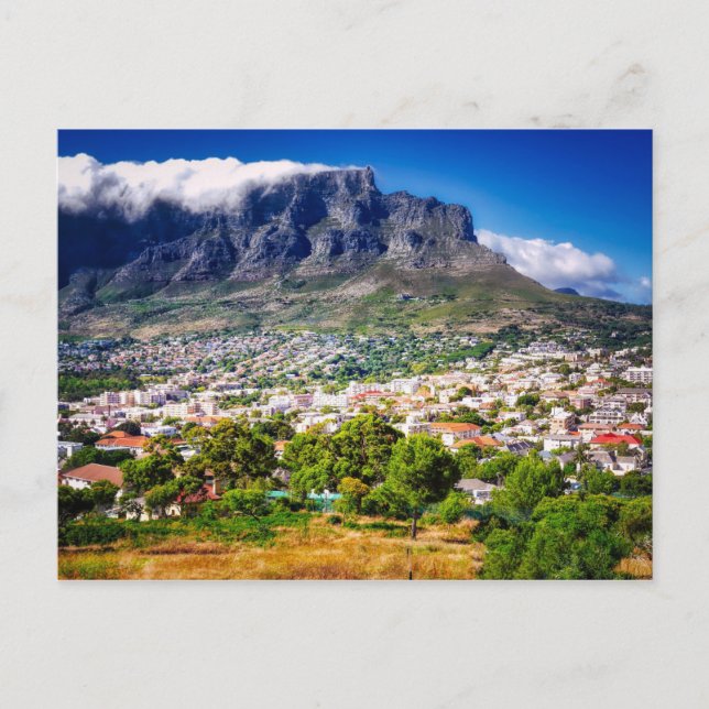 Cape Town City Table Mountain Postcard (Front)