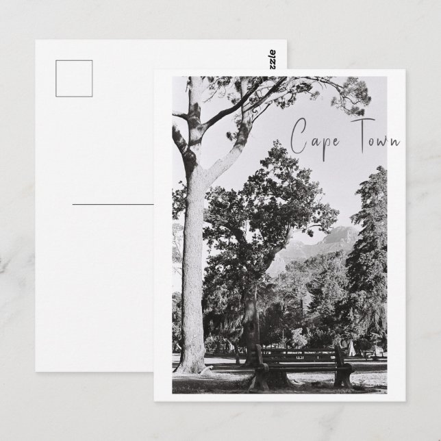 Cape Town Park Nature Mountain South Africa ZA Postcard (Front/Back)