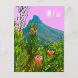 Cape Town South Africa Protea Lion's Head Postcard