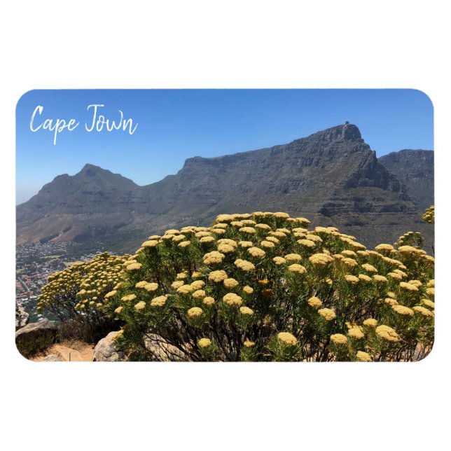 cape town table magnet (Horizontal)