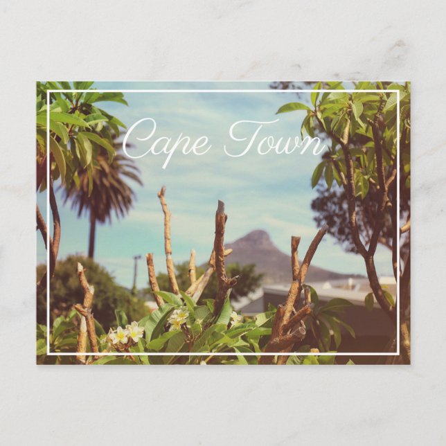 Cape Town Table Mountain Lion's Head Postcard (Front)
