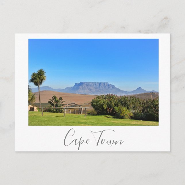 Cape Town Table Mountain View Grass Landscape Postcard (Front)