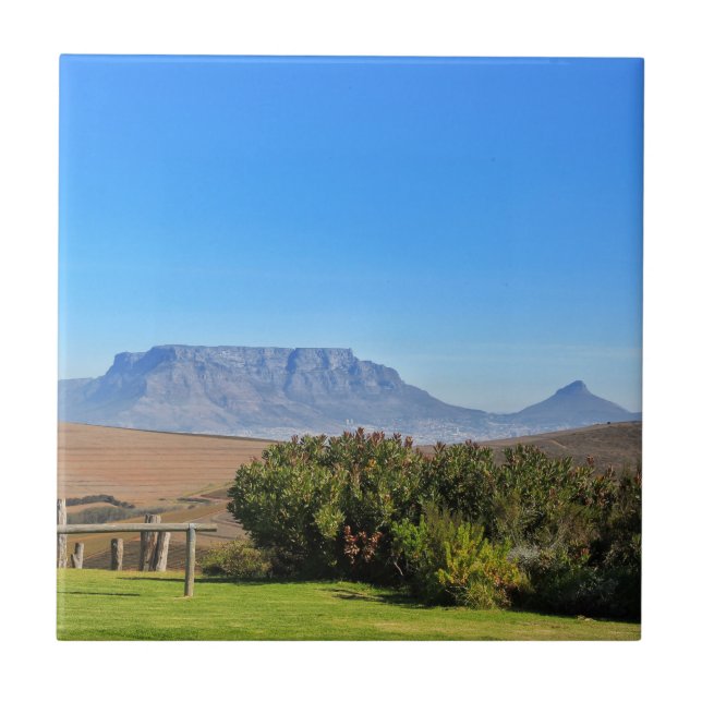 Cape Town Table Mountain View Grass Tile (Front)