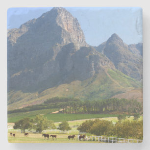 Cape Town, Western Cape, South Africa Stone Coaster