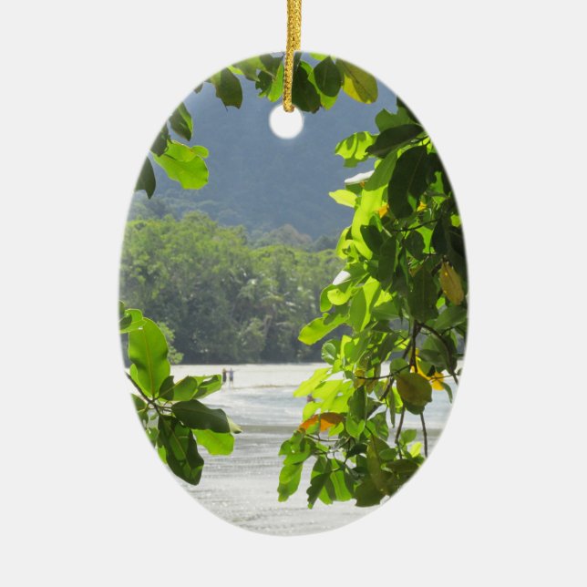 Cape Tribulation - Australia Ceramic Tree Decoration (Front)