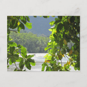 Cape Tribulation - Australia Postcard