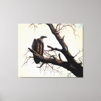 Cape Vulture "Sentinel" Canvas Print