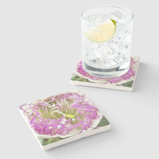 Caper Flower Blossom Botanical Art Stone Coaster