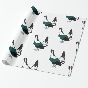 Capercaillie bird Art Glossy Wrapping Paper