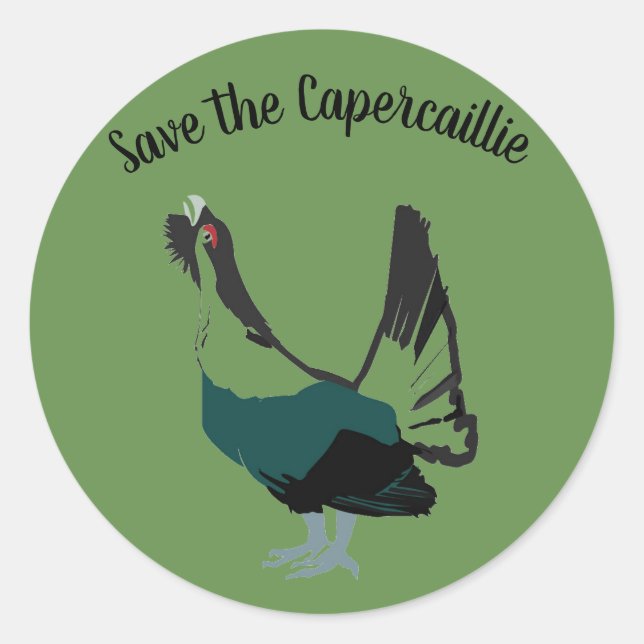 Capercaillie bird  Art  Round Sticker, Glossy Classic Round Sticker (Front)