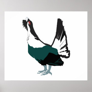 Capercaillie bird  Art  Value Poster Paper (Matte)