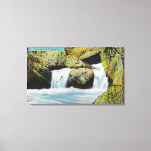 Capilano Canyon View of Salmon Leaping Upstream Canvas Print