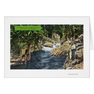 Capilano Canyon View of the Salmon Pool