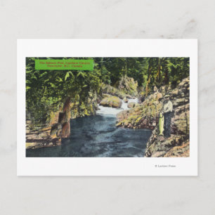 Capilano Canyon View of the Salmon Pool Postcard
