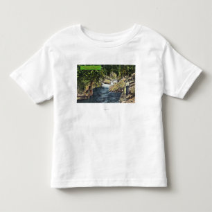 Capilano Canyon View of the Salmon Pool Toddler T-Shirt