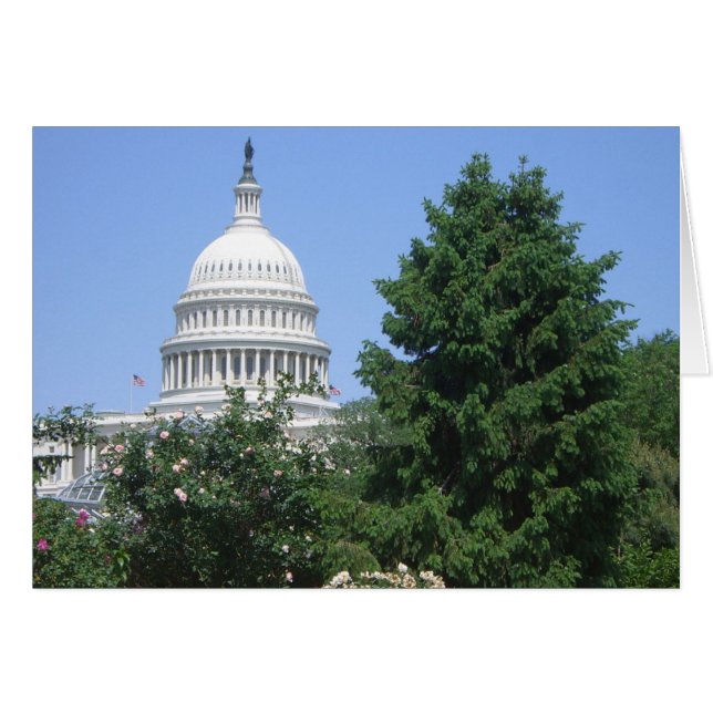 Capitol Building from Bartholdi Park (Front Horizontal)
