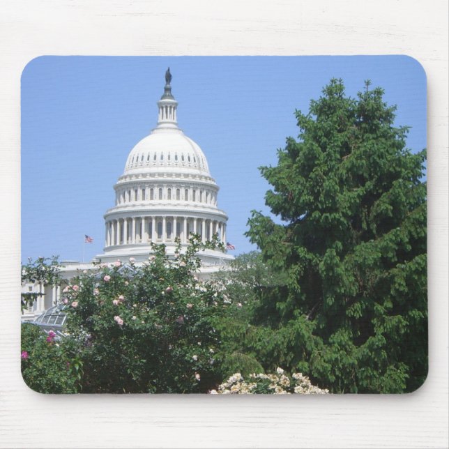 Capitol Building from Bartholdi Park Mouse Mat (Front)