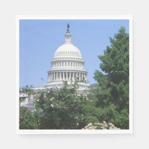 Capitol Building from Bartholdi Park Napkin
