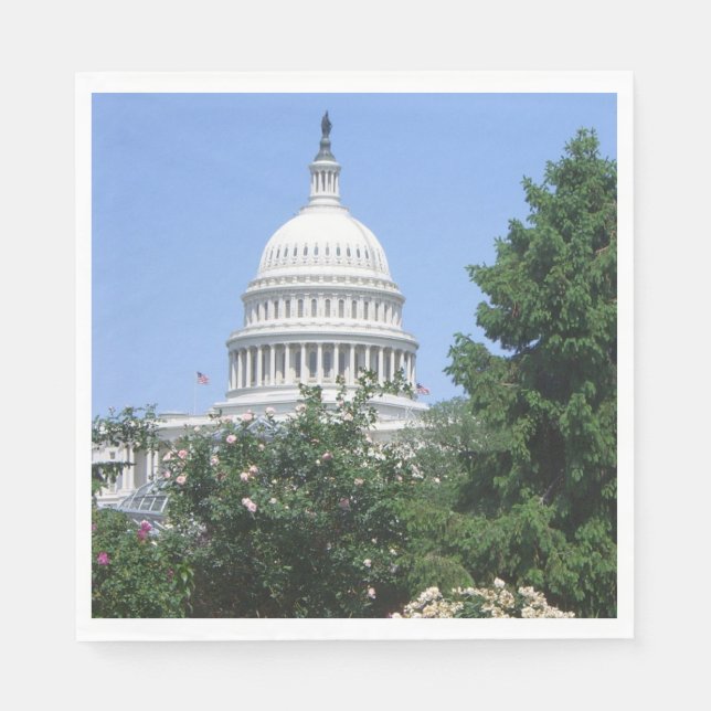 Capitol Building from Bartholdi Park Napkin (Front)