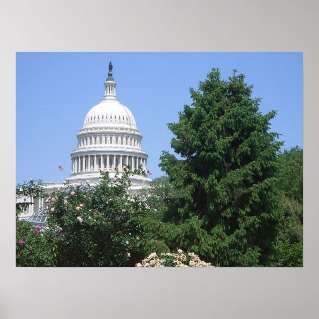 Capitol Building from Bartholdi Park Poster (Front)