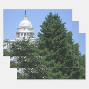 Capitol Building from Bartholdi Park Wrapping Paper Sheet