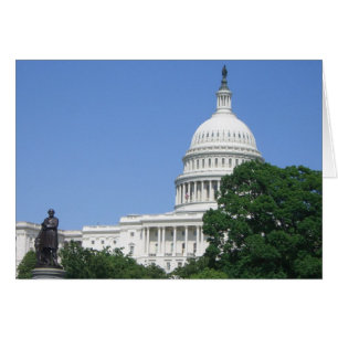 Capitol Building in Washington DC