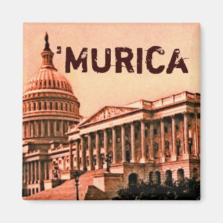 Capitol Building Washington DC Murica America 1900 Magnet