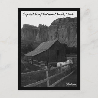 Capitol Reef National Park Postcard