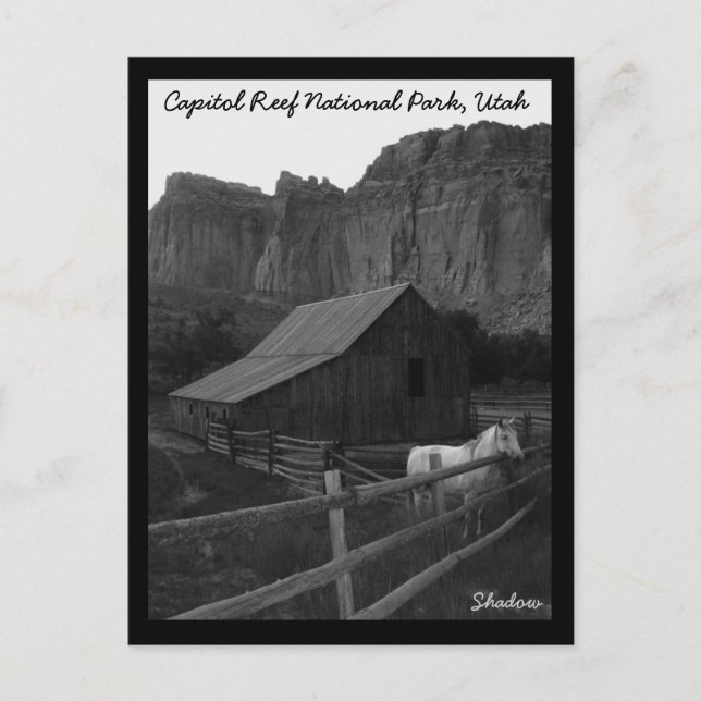 Capitol Reef National Park Postcard (Front)