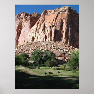 Capitol Reef National Park Poster