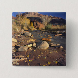 CAPITOL REEF NATIONAL PARK, UT, US, Cottonwood 15 Cm Square Badge