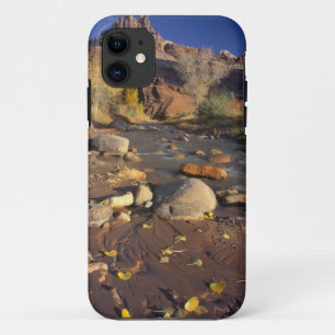 CAPITOL REEF NATIONAL PARK, UT, US, Cottonwood iPhone 11 Case
