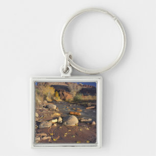 CAPITOL REEF NATIONAL PARK, UT, US, Cottonwood Key Ring