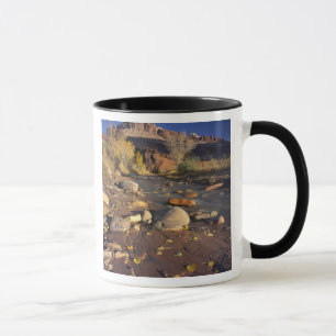 CAPITOL REEF NATIONAL PARK, UT, US, Cottonwood Mug