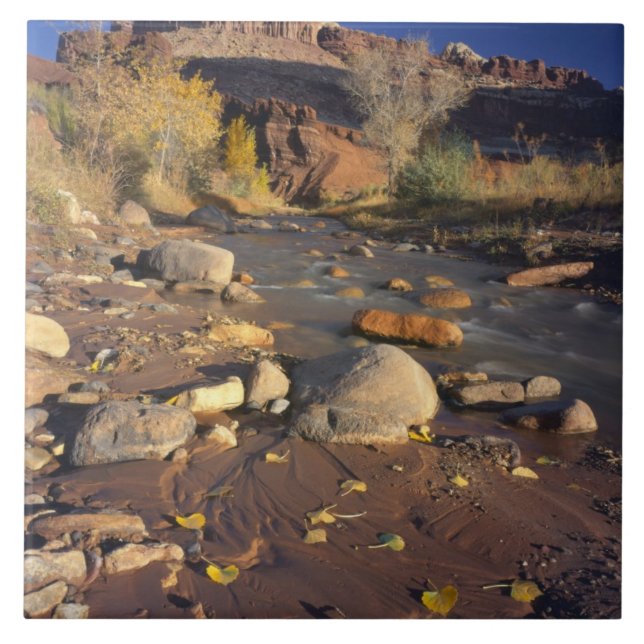 CAPITOL REEF NATIONAL PARK, UT, US, Cottonwood Tile (Front)