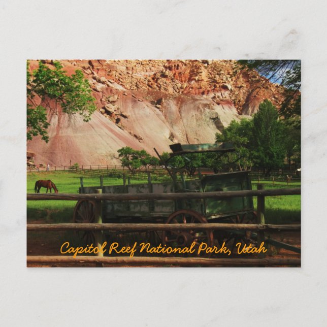 Capitol Reef National Park, Utah Postcard (Front)
