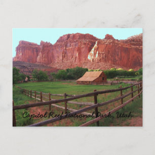 Capitol Reef National Park, Utah Postcard