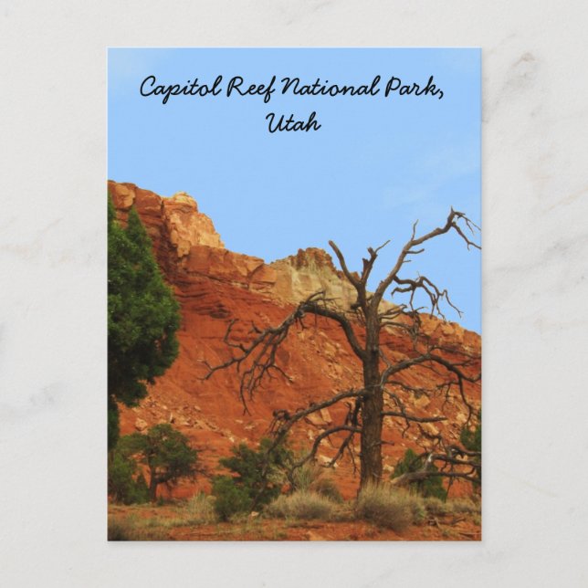 Capitol Reef National Park, Utah Postcard (Front)