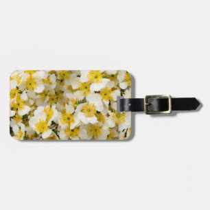 Capitol Reef National Park, Utah, USA 3 Luggage Tag