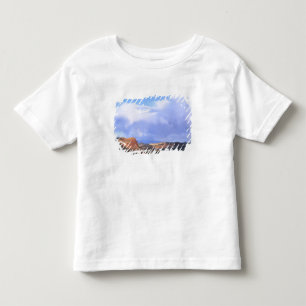 Capitol Reef National Park, Utah. USA. Cumulus Toddler T-Shirt