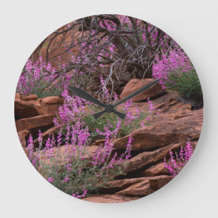 Capitol Reef National Park, Utah, USA Large Clock