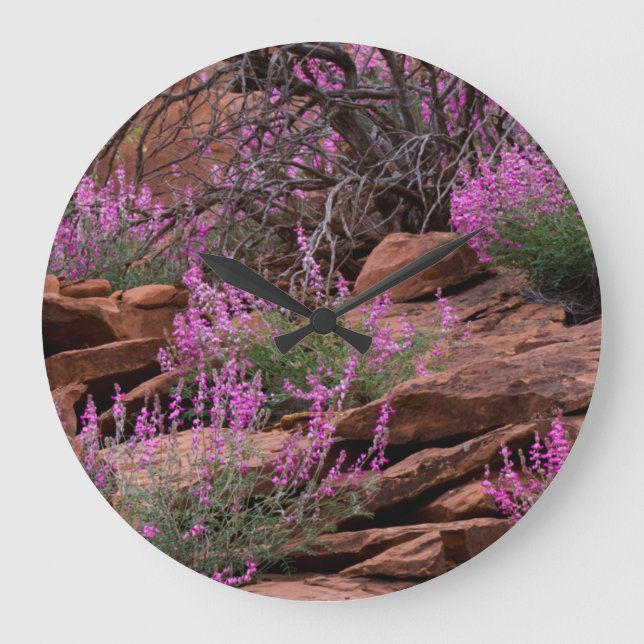 Capitol Reef National Park, Utah, USA Large Clock (Front)