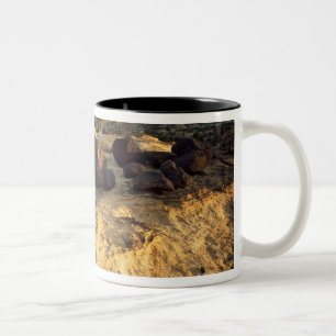 CAPITOL REEF NATIONAL PARK, UTAH. USA. Two-Tone COFFEE MUG