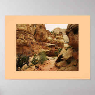 Capitol Reef, Utah Poster