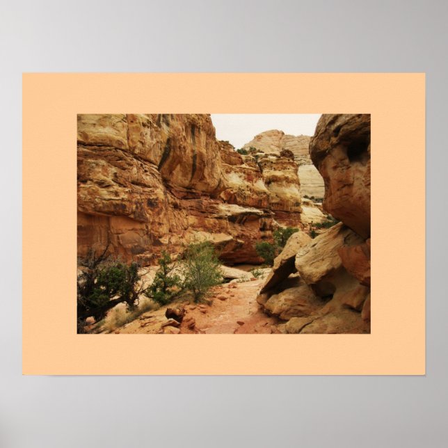 Capitol Reef, Utah Poster (Front)