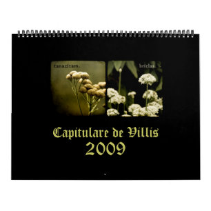 Capitulare de Villis 2009 Calendar