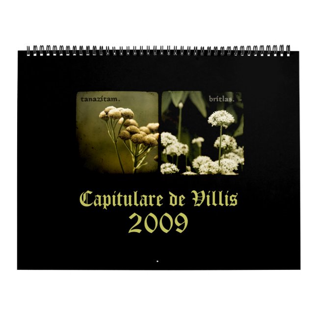 Capitulare de Villis 2009 Calendar (Cover)