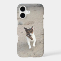 Capo von Oppenheim, Jack Russell Terrier Dog