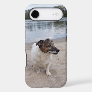 Capo von Oppenheim, Jack Russell Terrier Dog